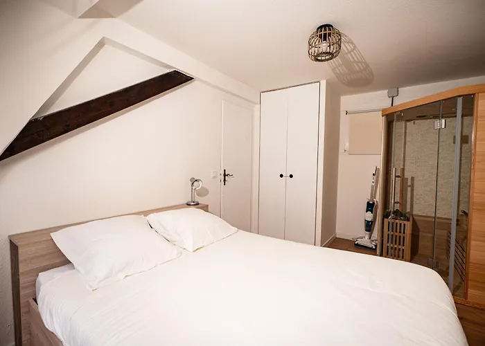 Apartment Moderne T2 Centre Sauna Wifi Office Netflix Straßburg