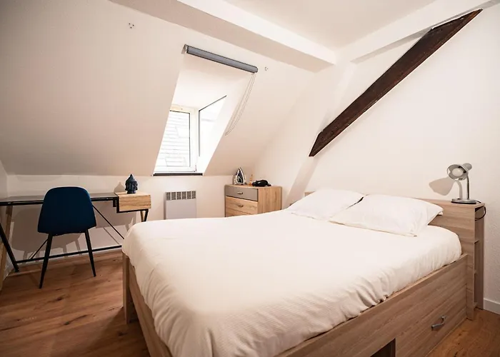 Lägenhet Moderne T2 Centre Sauna Wifi Office Netflix Strasbourg