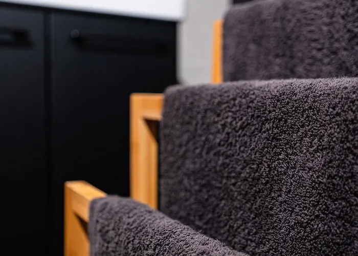 Moderne T2 Centre Sauna Wifi Office Netflix Strasbourg