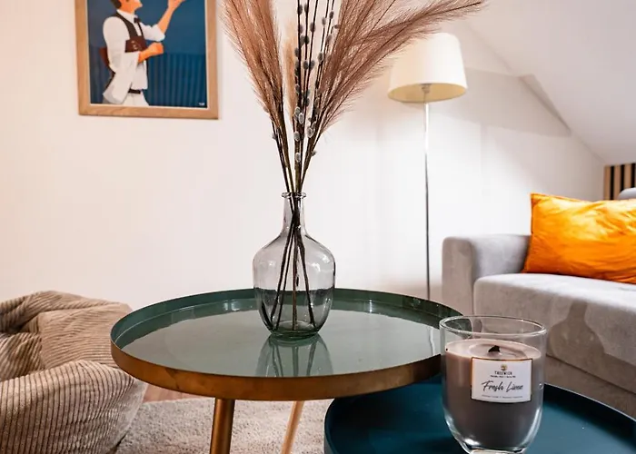 Moderne T2 Centre Sauna Wifi Office Netflix Strasbourg